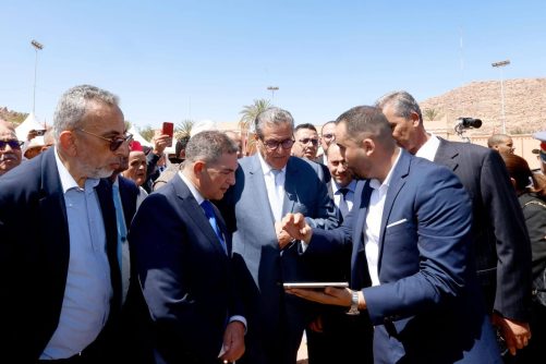 تافراوت تطلق أول مقاربة “ذكية وإنسانية” بالمغرب لتدبير ظاهرة الكلاب الضالة