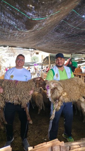 جمعية “سند الأجيال أكادير” و منظمة GRT البريطانية ترسمان بسمة العيد: مبادرات تضامنية رائدة تُدخل الفرحة على مئات الأسر المعوزة والأيتام